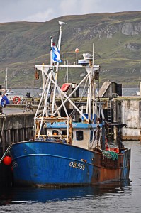 Oban Harbour, fresh fish near Glenstrae Scottish Holiday Lodge